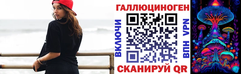 Псилоцибиновые грибы Psilocybe  Цоци-Юрт 